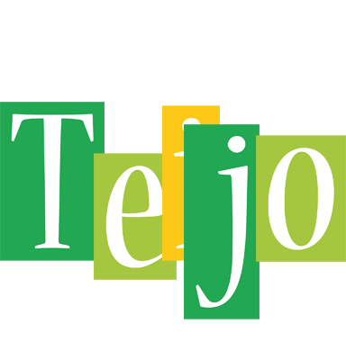 Teijo lemonade logo