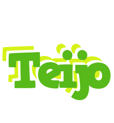 Teijo picnic logo