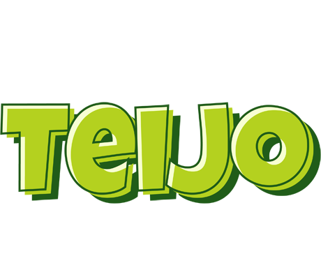 Teijo summer logo