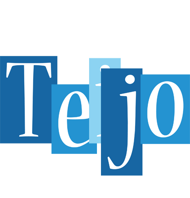 Teijo winter logo