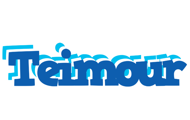Teimour business logo