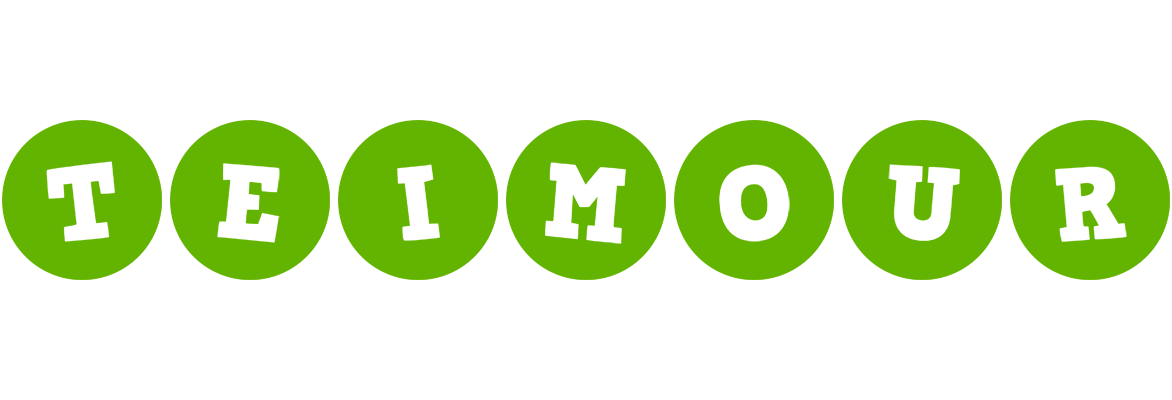 Teimour games logo