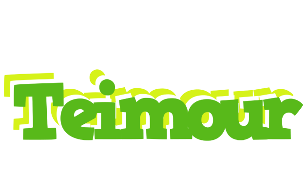 Teimour picnic logo