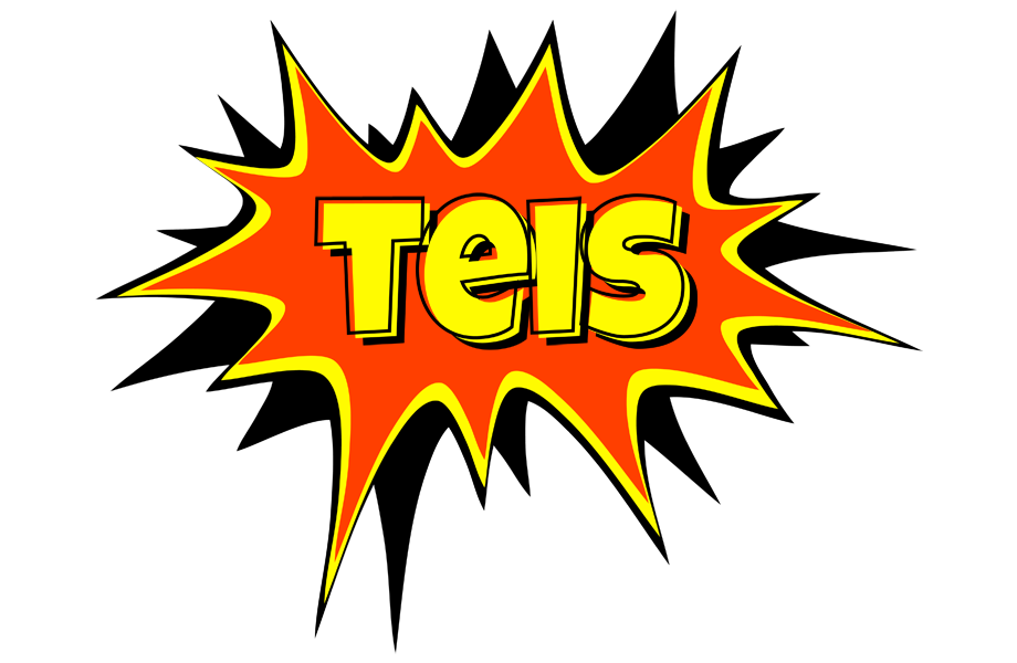 Teis bazinga logo