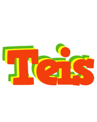 Teis bbq logo