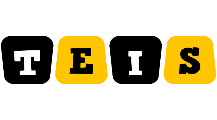 Teis boots logo
