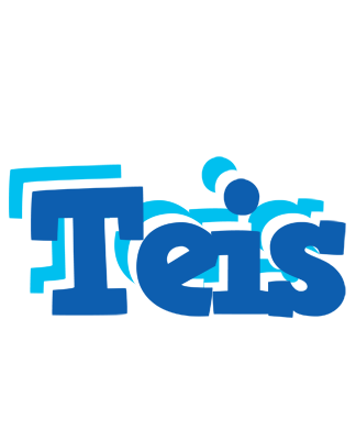Teis business logo