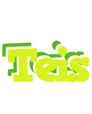 Teis citrus logo