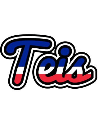 Teis france logo