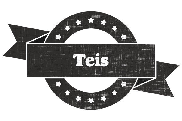 Teis grunge logo