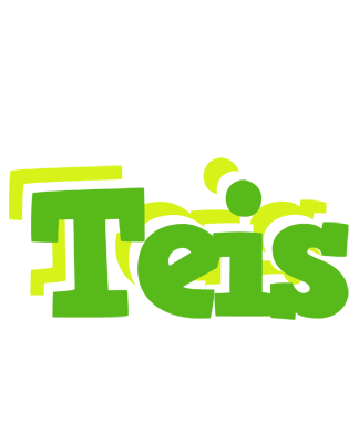 Teis picnic logo