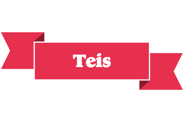 Teis sale logo