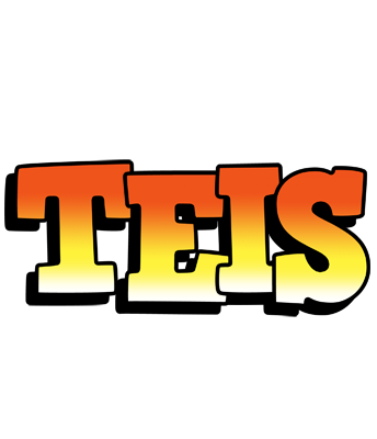 Teis sunset logo