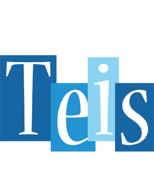 Teis winter logo