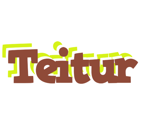 Teitur caffeebar logo