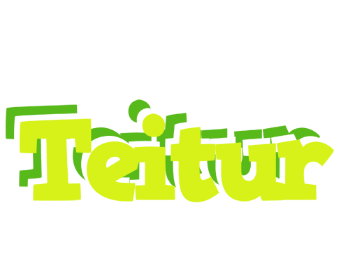 Teitur citrus logo