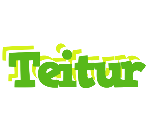 Teitur picnic logo