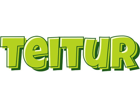 Teitur summer logo