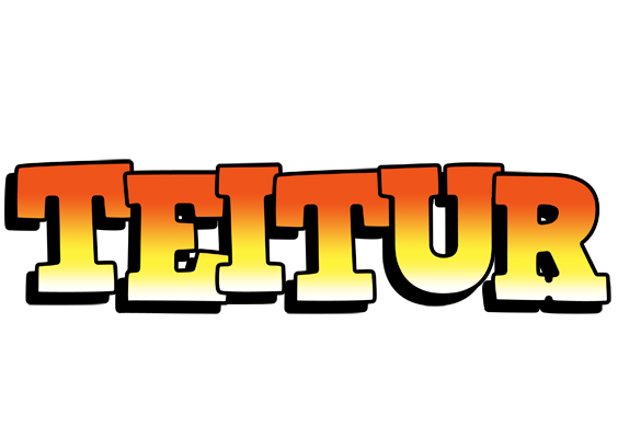 Teitur sunset logo