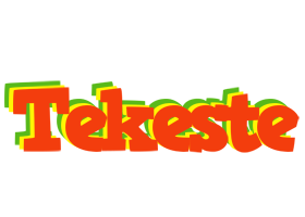 Tekeste bbq logo