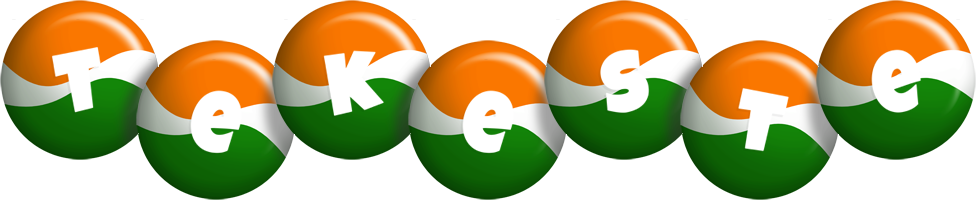 Tekeste india logo