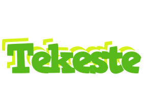 Tekeste picnic logo