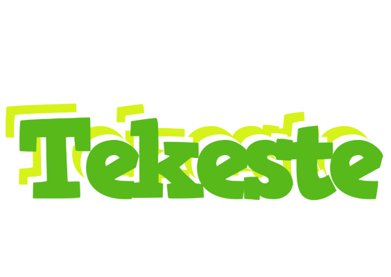 Tekeste picnic logo