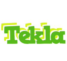 Tekla picnic logo