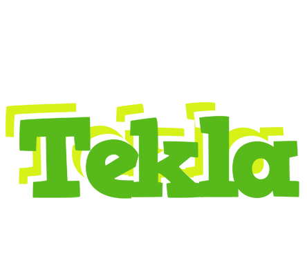 Tekla picnic logo