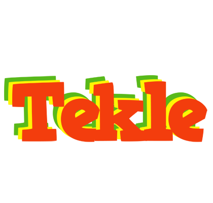 Tekle bbq logo