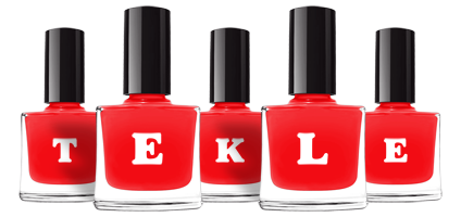 Tekle fashion logo