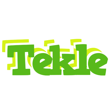 Tekle picnic logo