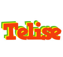Telise bbq logo