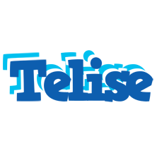 Telise business logo