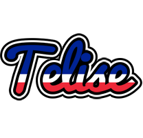 Telise france logo