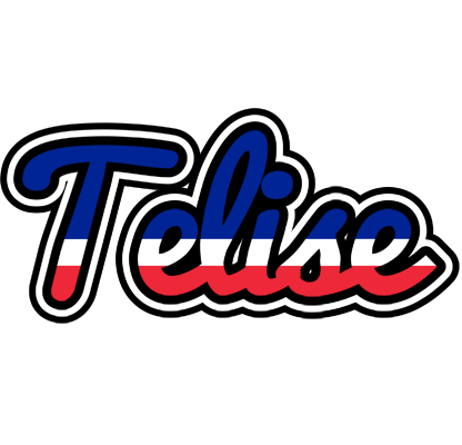Telise france logo