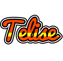 Telise madrid logo