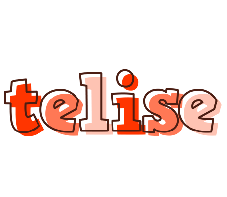Telise paint logo