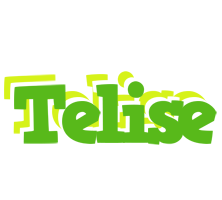 Telise picnic logo