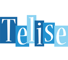 Telise winter logo