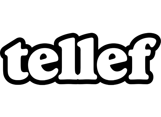 Tellef panda logo