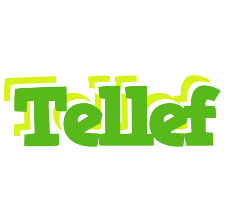 Tellef picnic logo