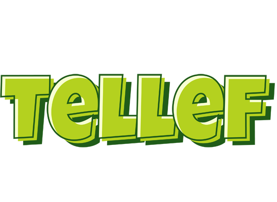 Tellef summer logo