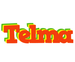 Telma bbq logo