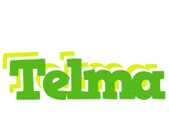 Telma picnic logo