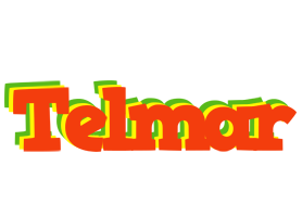 Telmar bbq logo