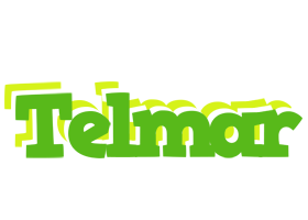 Telmar picnic logo