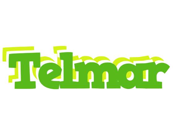 Telmar picnic logo