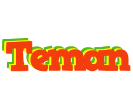 Teman bbq logo