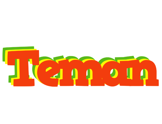 Teman bbq logo